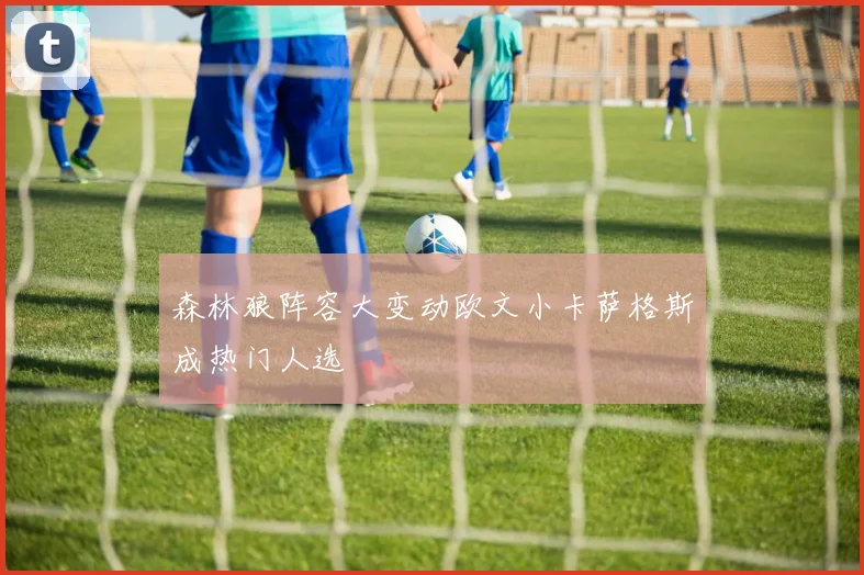 森林狼阵容大变动欧文小卡萨格斯成热门人选